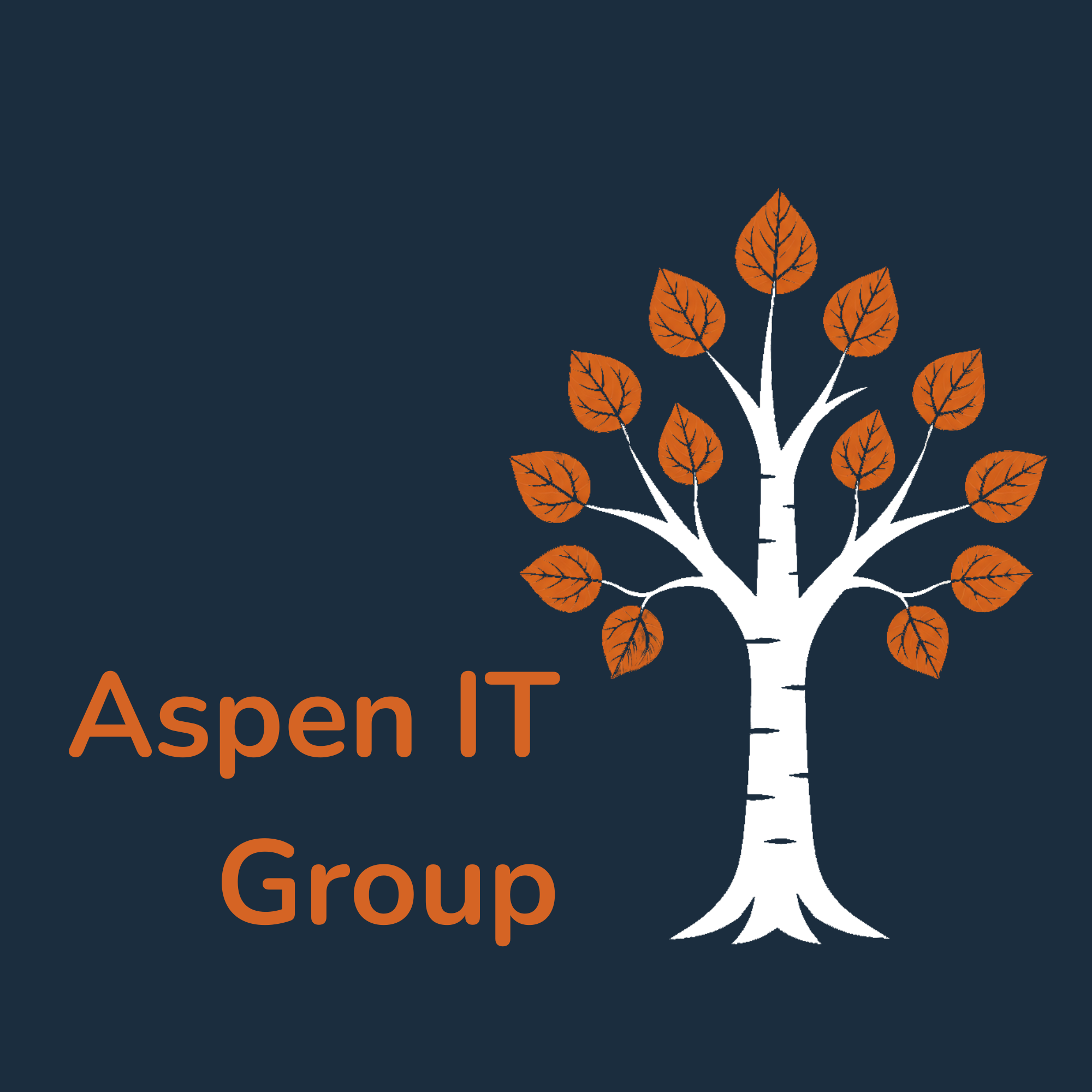 Aspen IT Group
