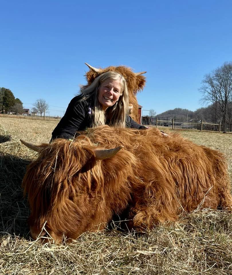 The Faith Farm family with their Scottish Highland cows