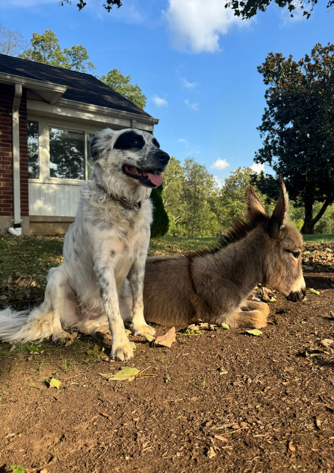 Faith Farm Resident