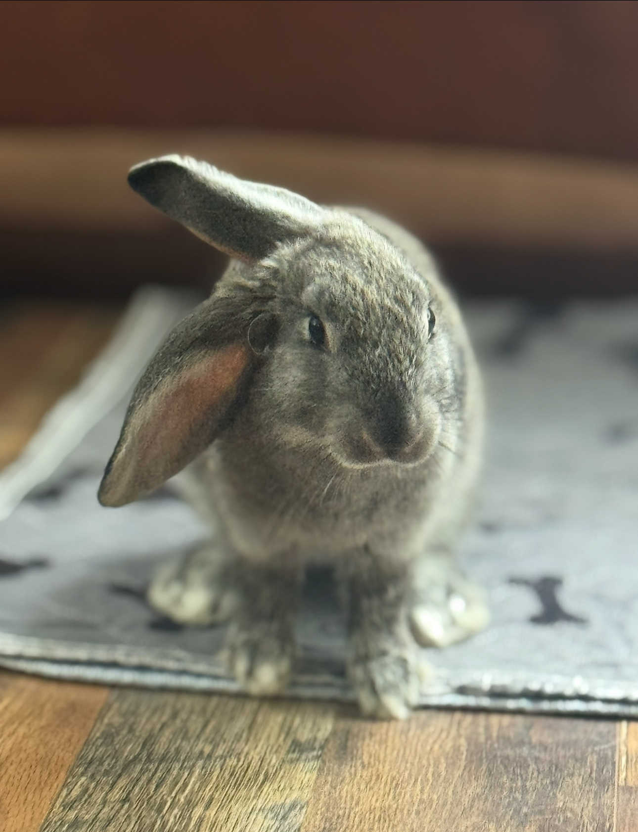 Faith Farm Resident