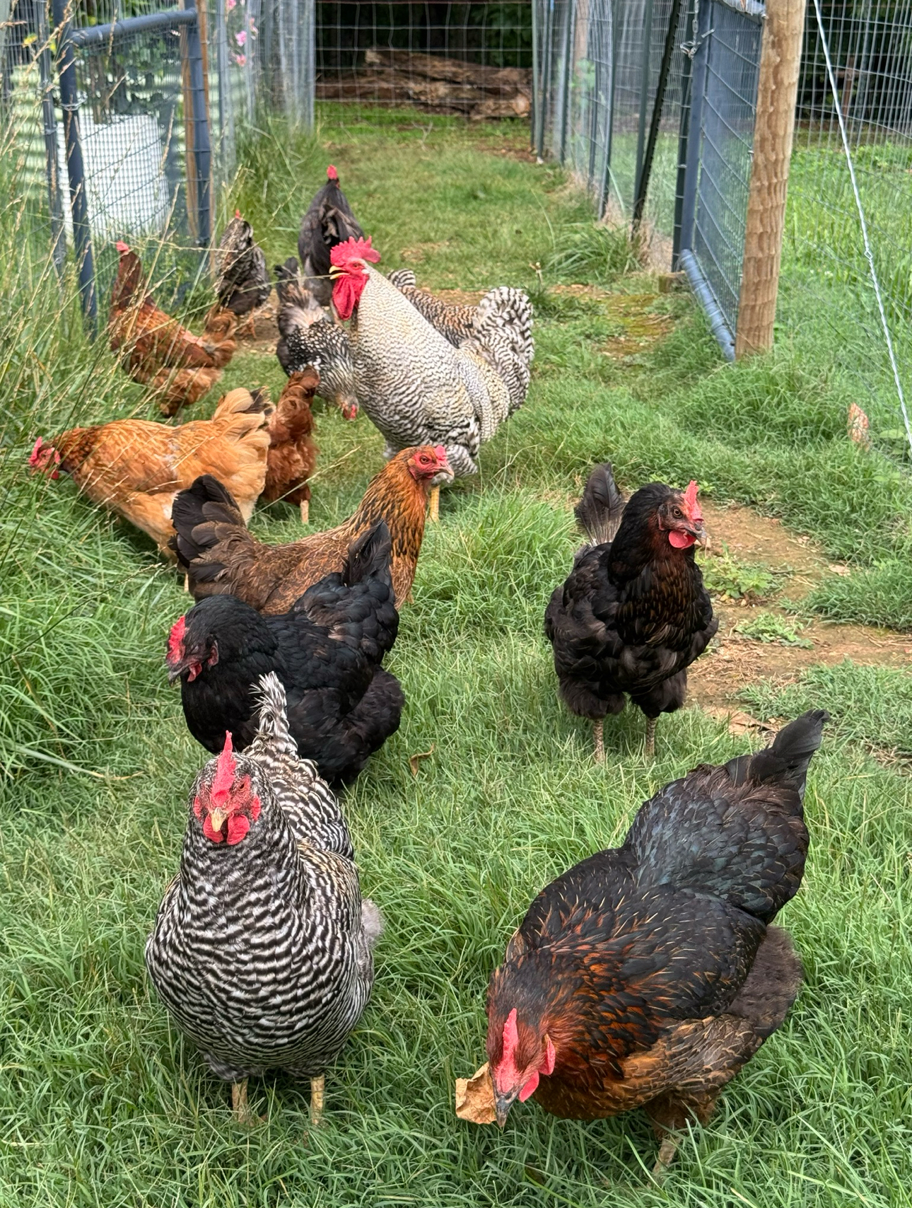 Faith Farm Resident