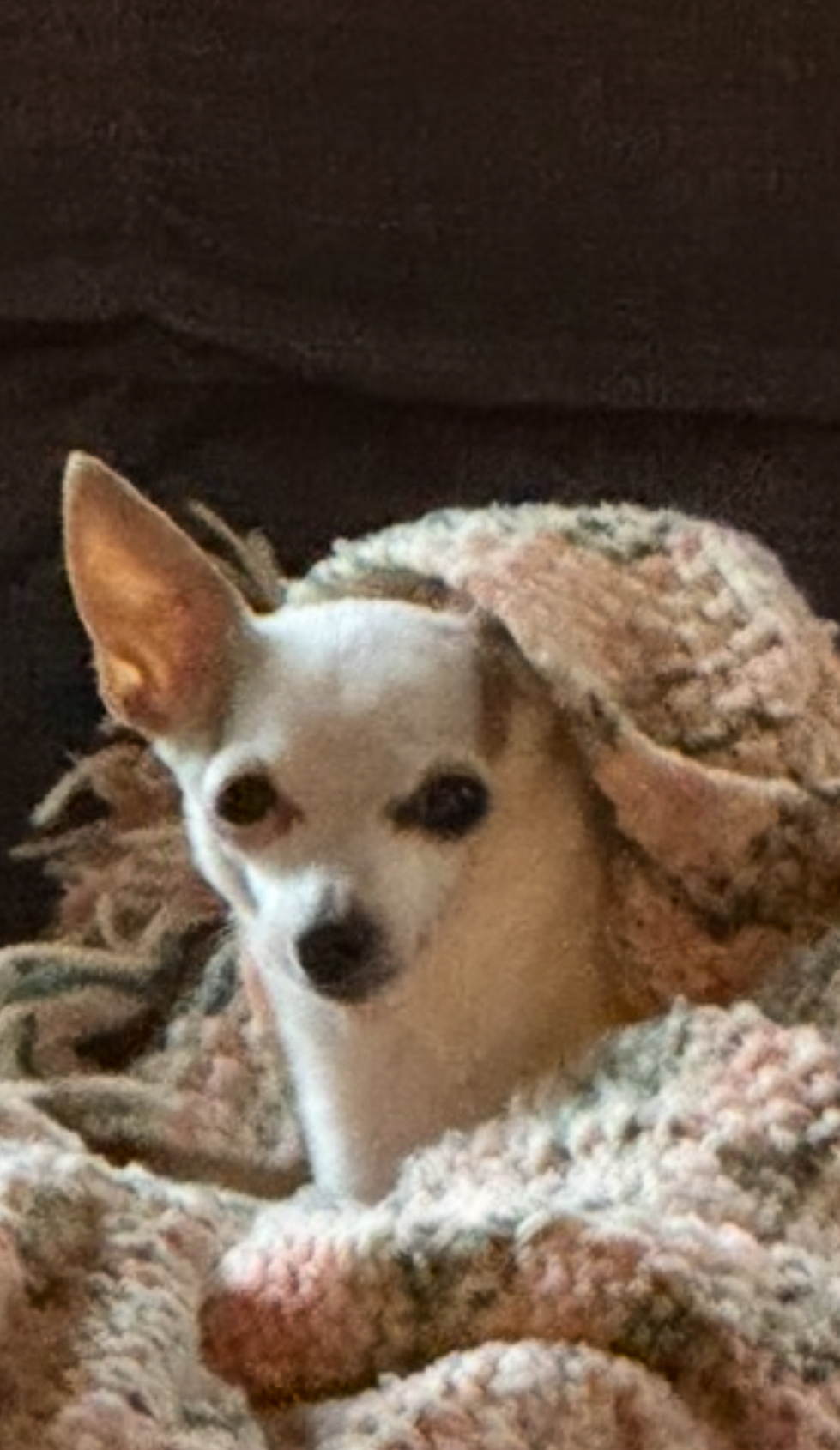 Faith Farm Resident