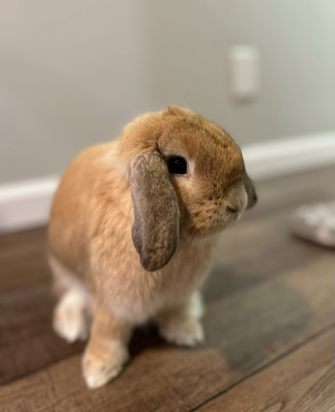 Faith Farm Resident