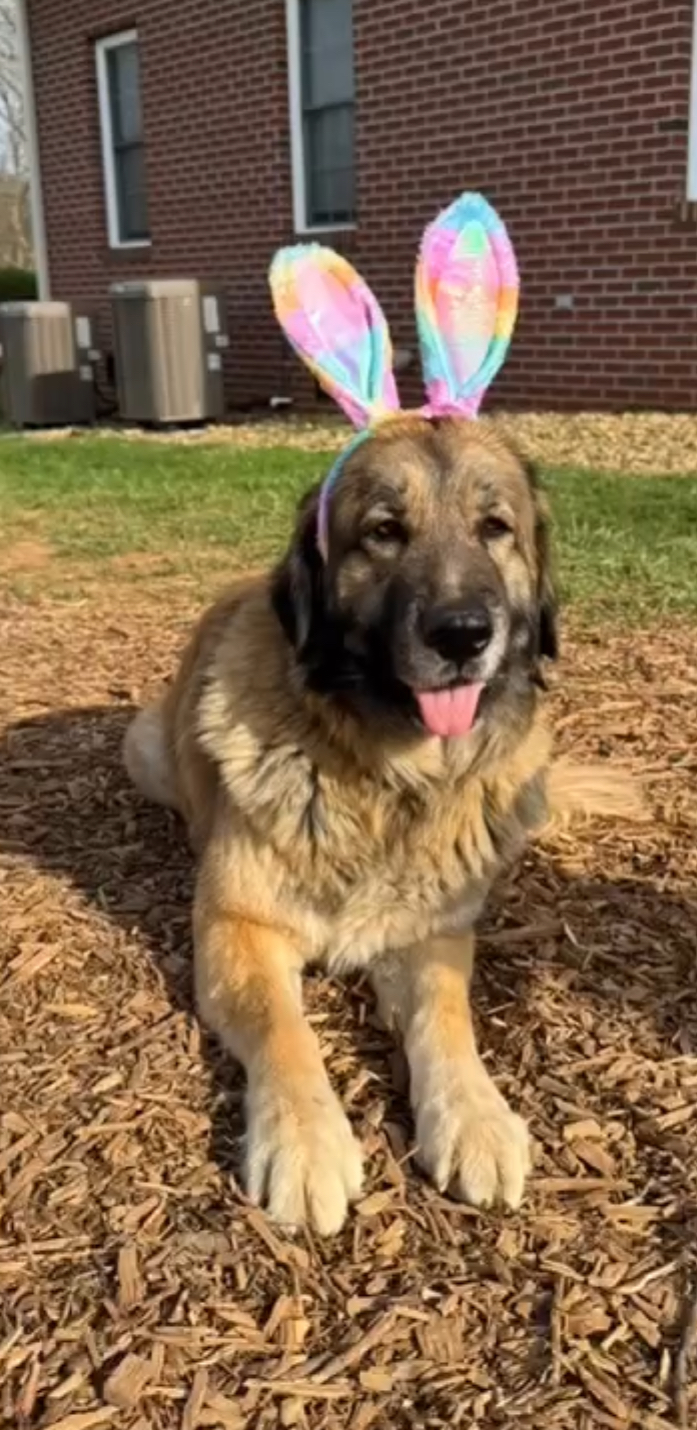 Faith Farm Resident