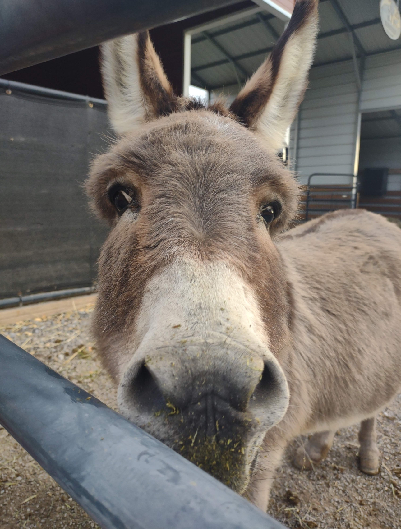 Faith Farm Resident