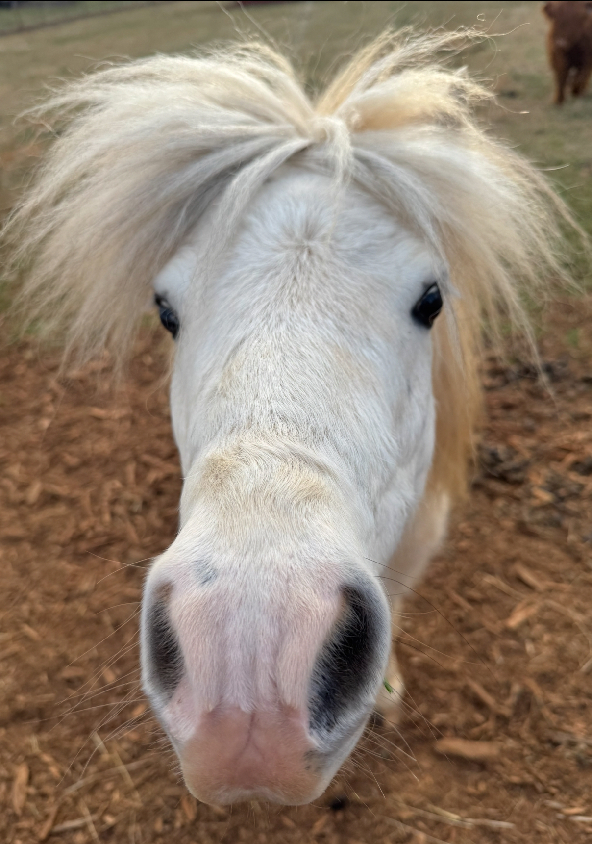 Faith Farm Resident