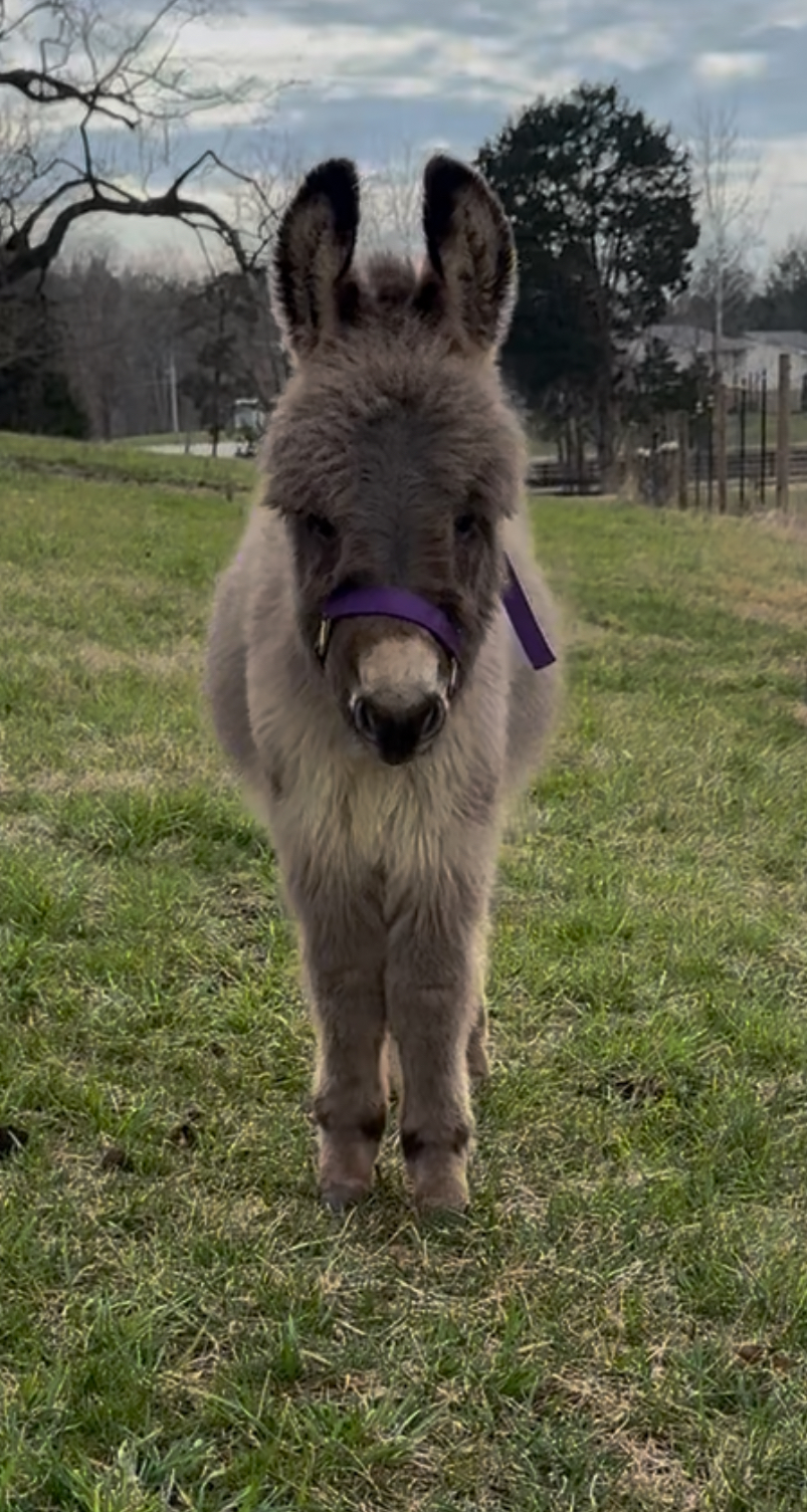 Faith Farm Resident