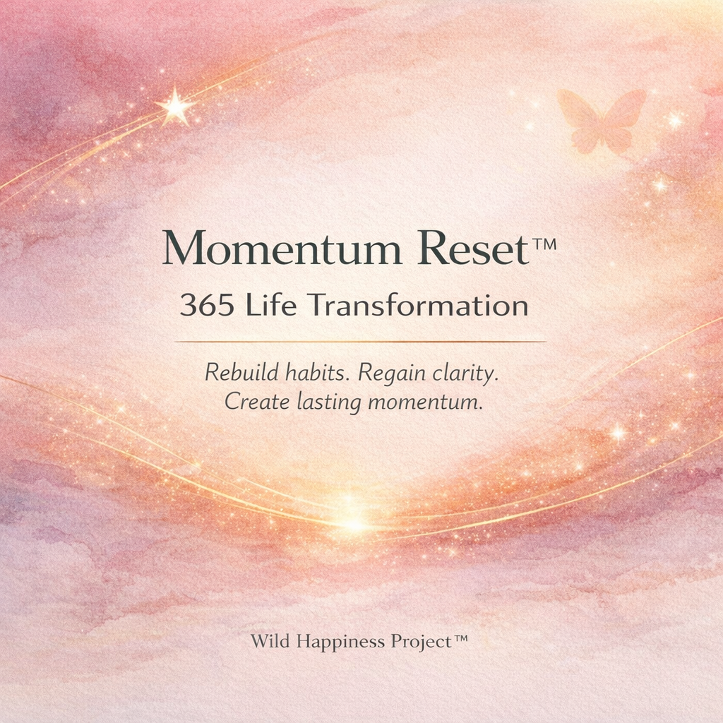 Momentum Reset 365 Life Transformation