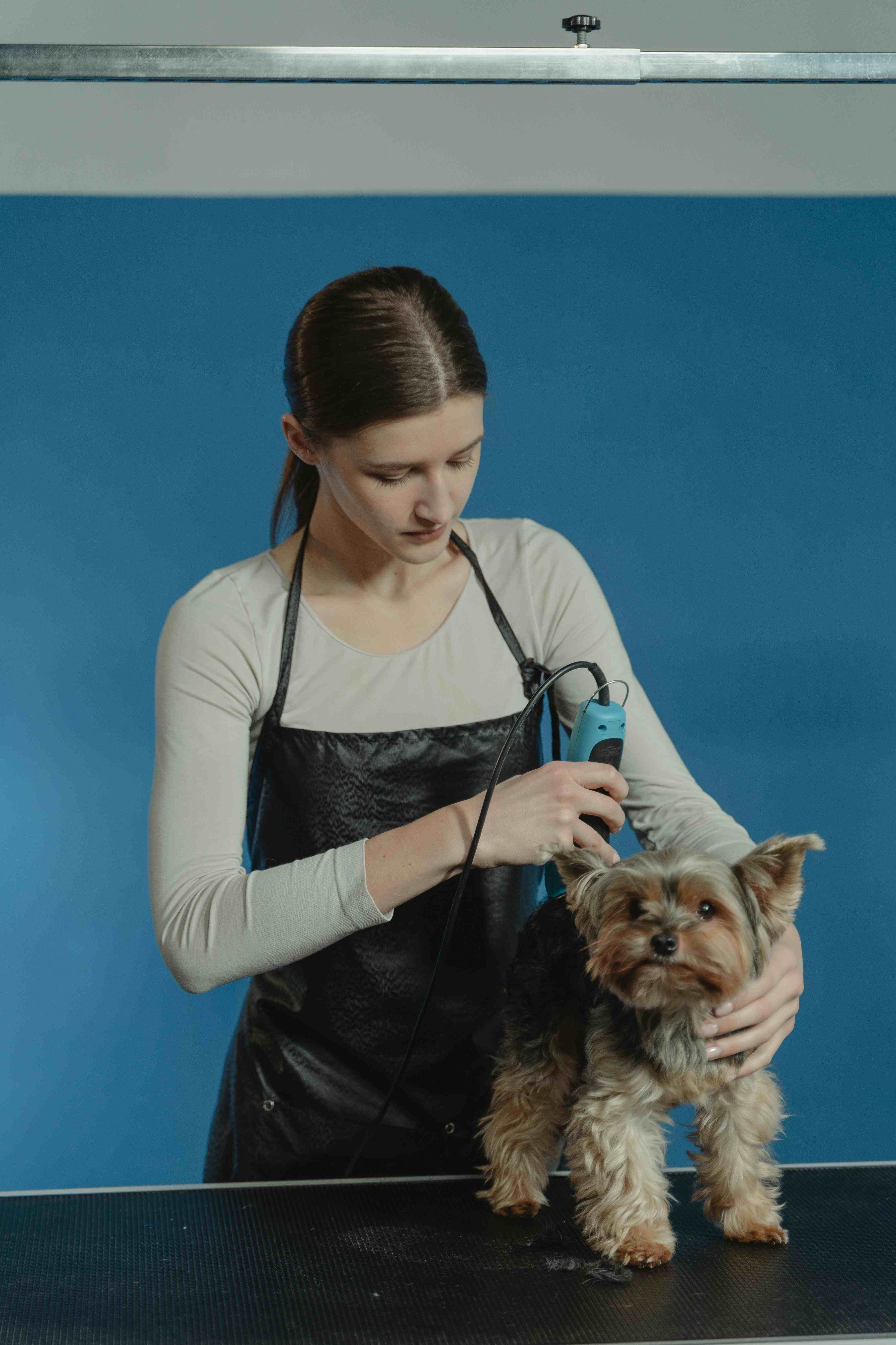 House cleaning service