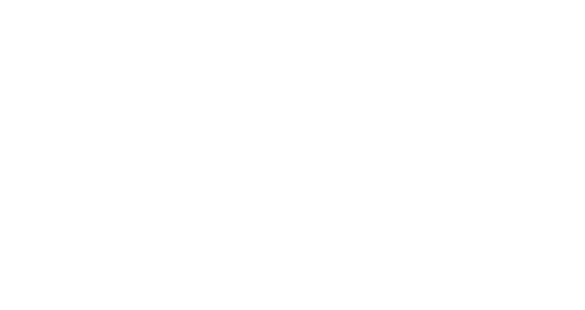 FSX, Financial Service Excellence