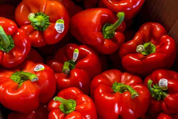 Produce at Warehouse Produce Depot
