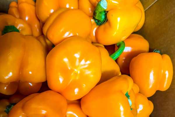 Warehouse Produce Depot