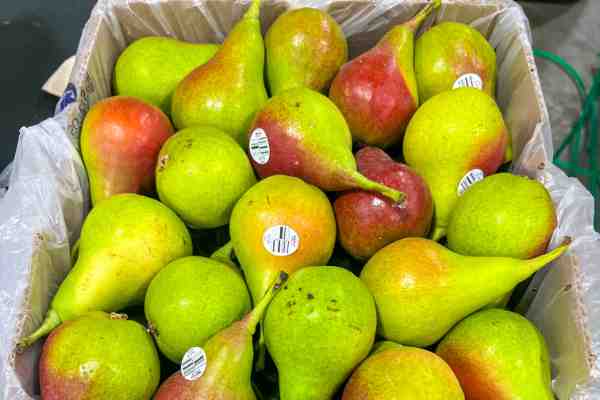Produce at Warehouse Produce Depot
