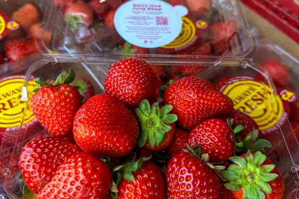 Produce at Warehouse Produce Depot