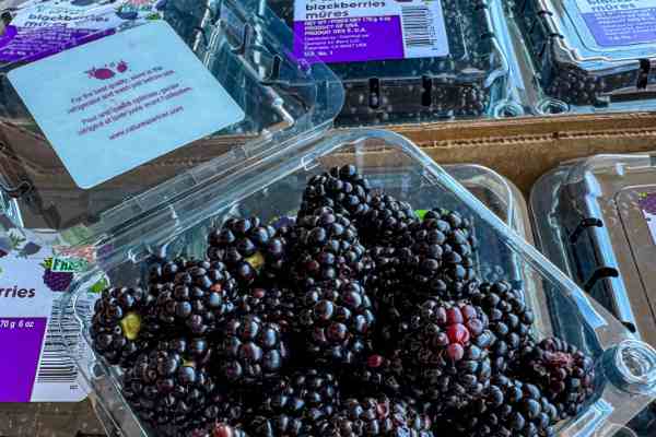 Produce at Warehouse Produce Depot