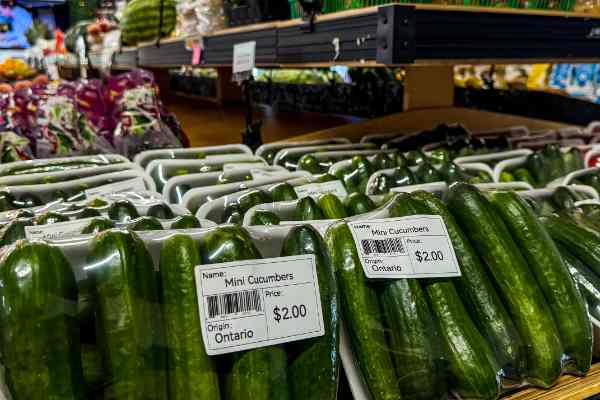 Produce at Warehouse Produce Depot