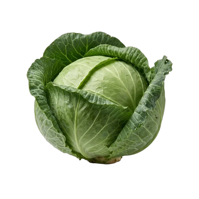 Cabbage Green