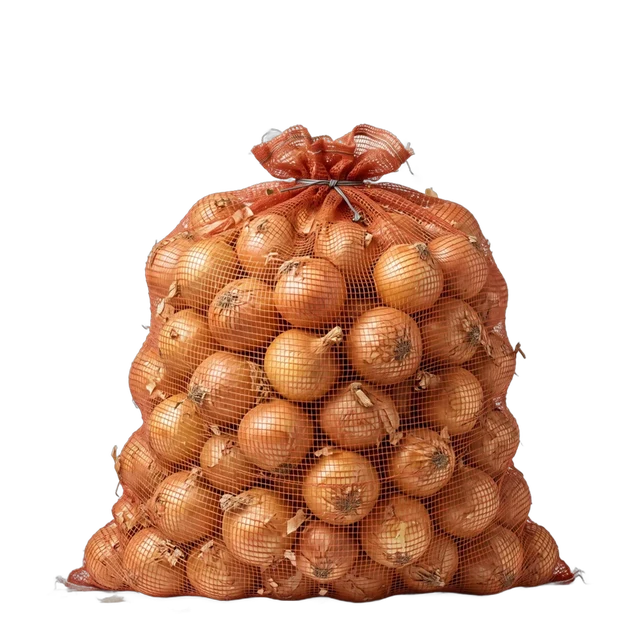 Onion Spanish
