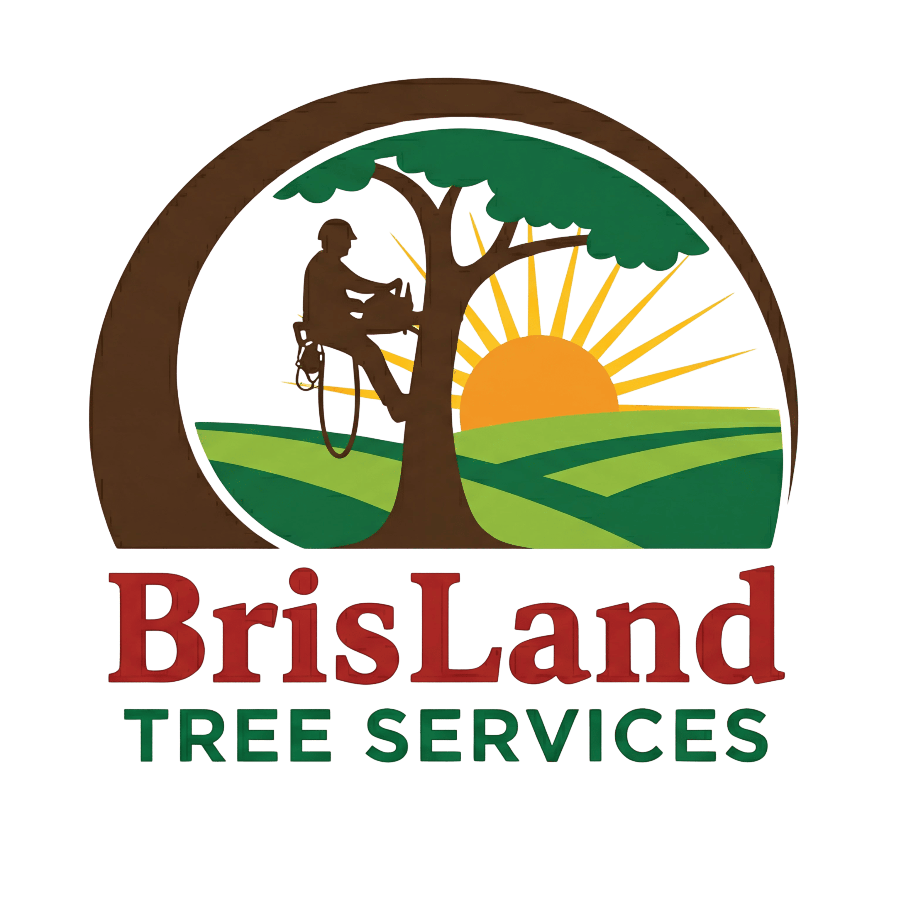Tree Services Brisbane