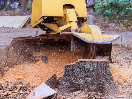 Stump Grinding in Brisbane