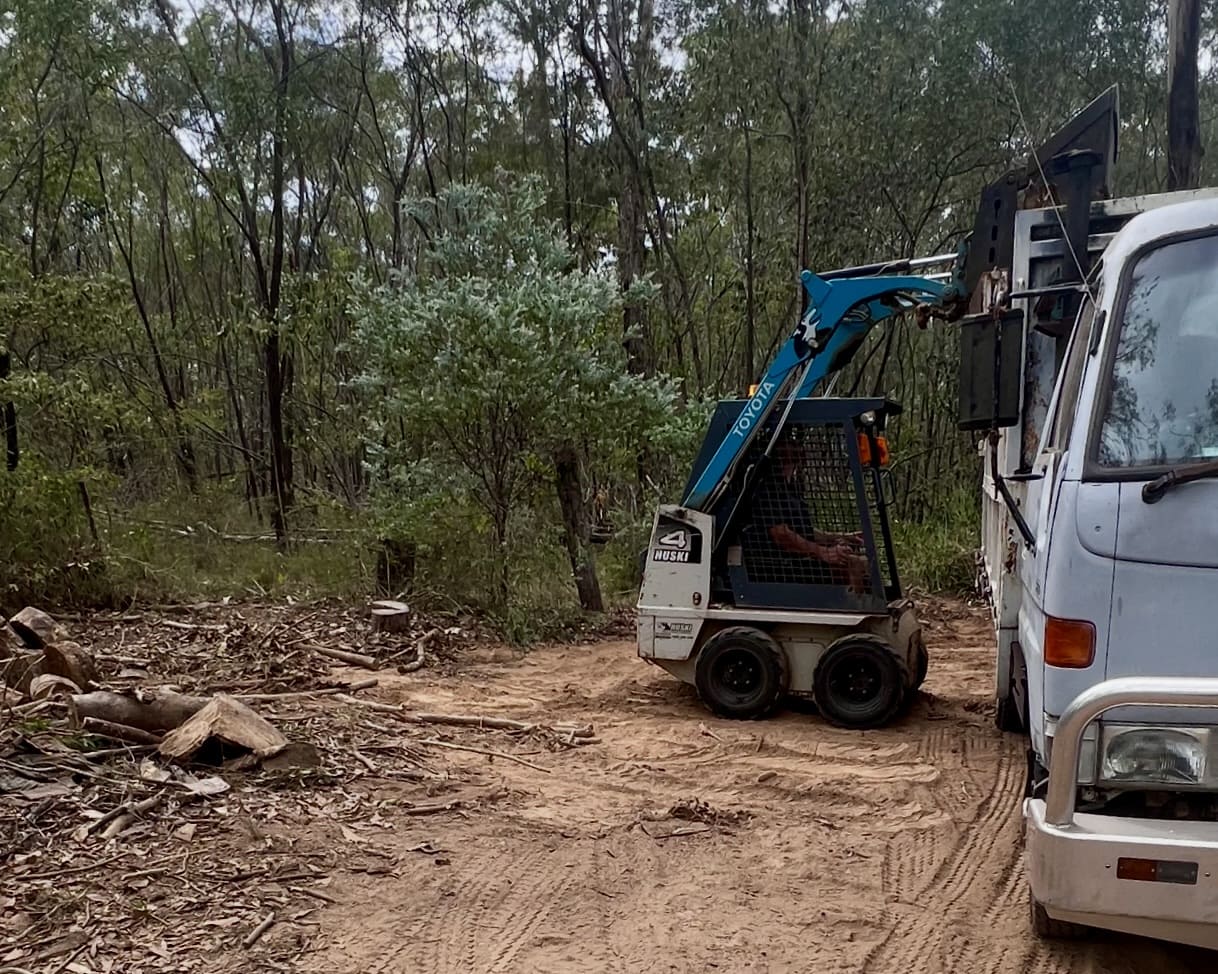 Ipswich Tree Lopping
