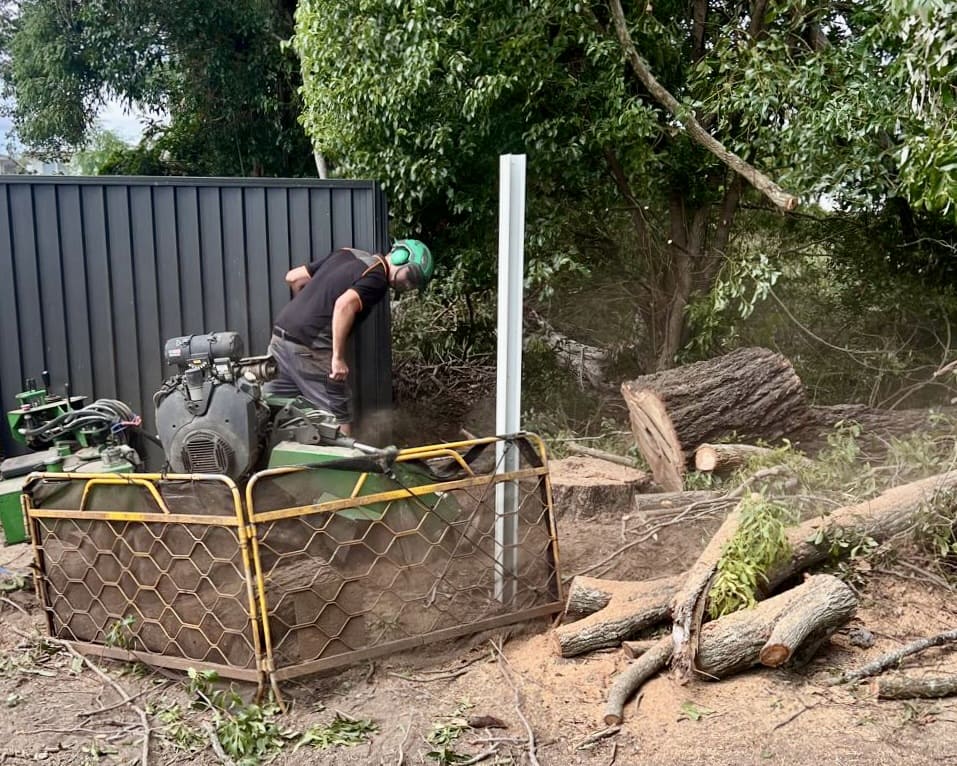 Redbank Plains Tree Lopping