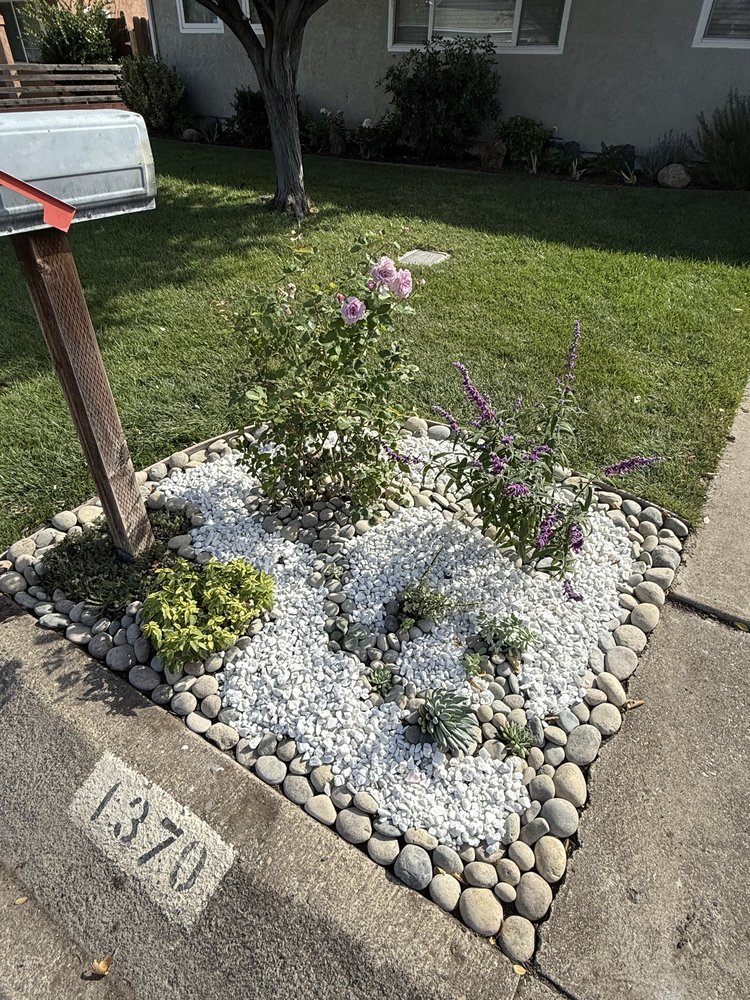 Luxury landscape by Golden Poppy Luxe