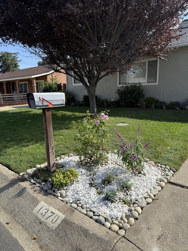 Custom landscape design by Golden Poppy Luxe