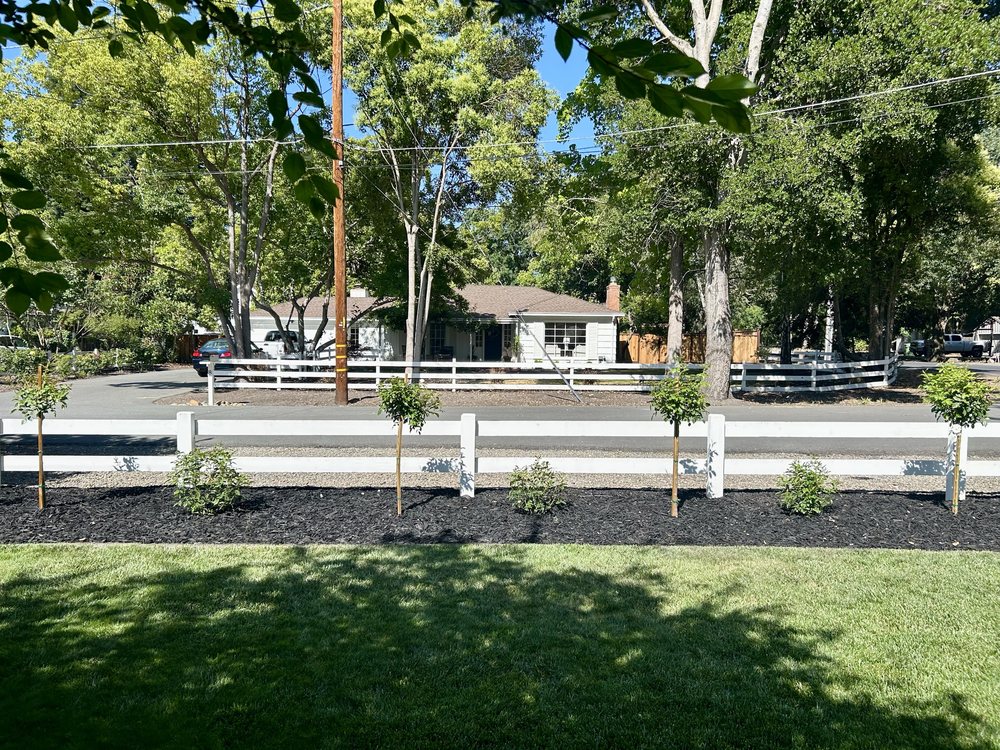 Golden Poppy Luxe project