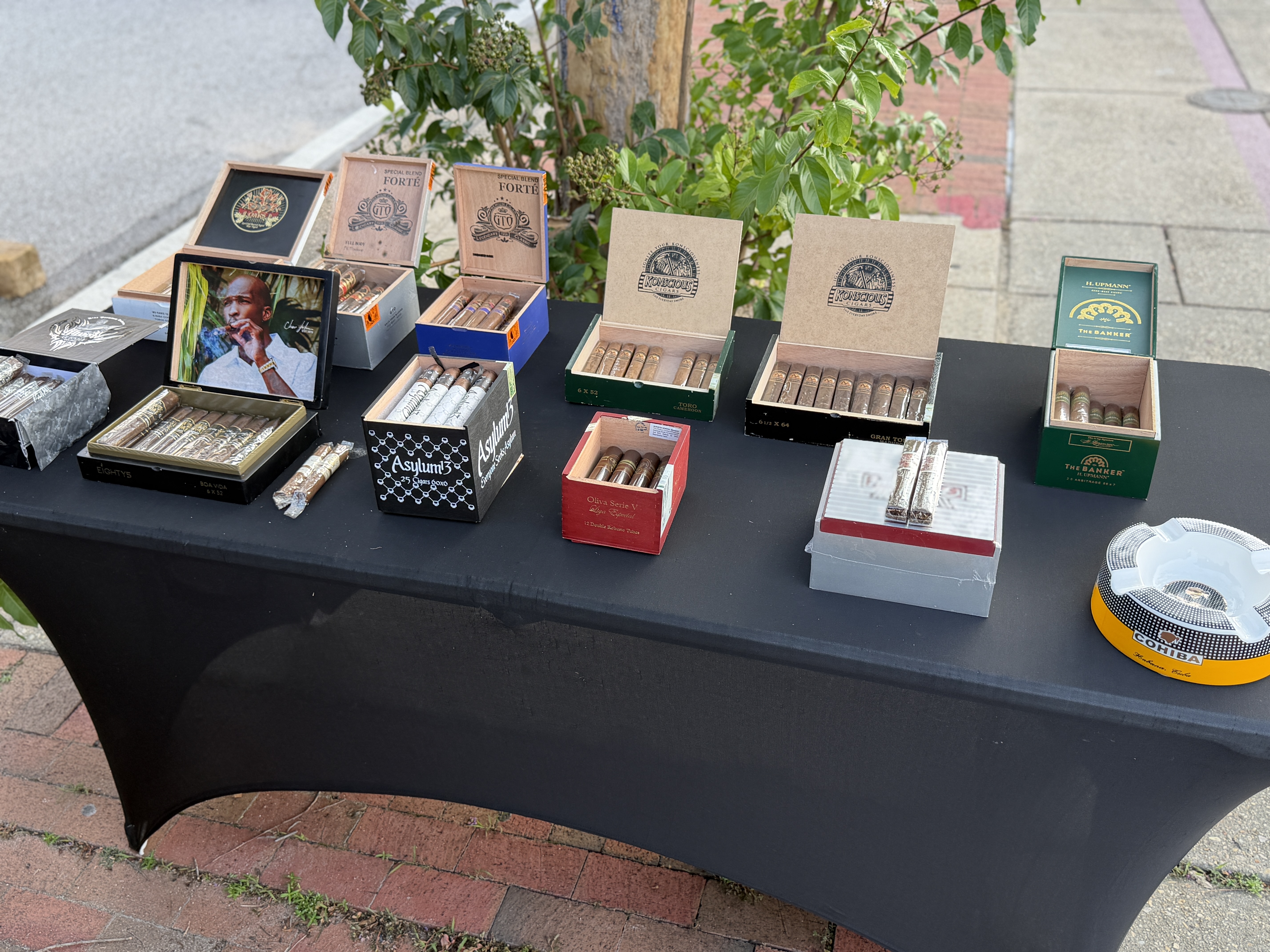 Asylum, Oliva Serie V & GTO cigars