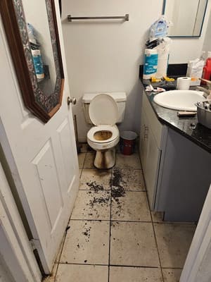 {{ custom_values.service_4 }} in {{custom_values.area_2})