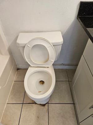 {{ custom_values.service_3 }} in {{custom_values.area_3})