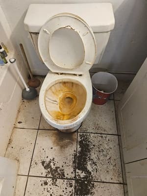 {{ custom_values.service_2 }} in {{custom_values.area_3})