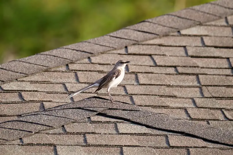 Residential Roofing — Aztec Roofing Systems project in St. Louis