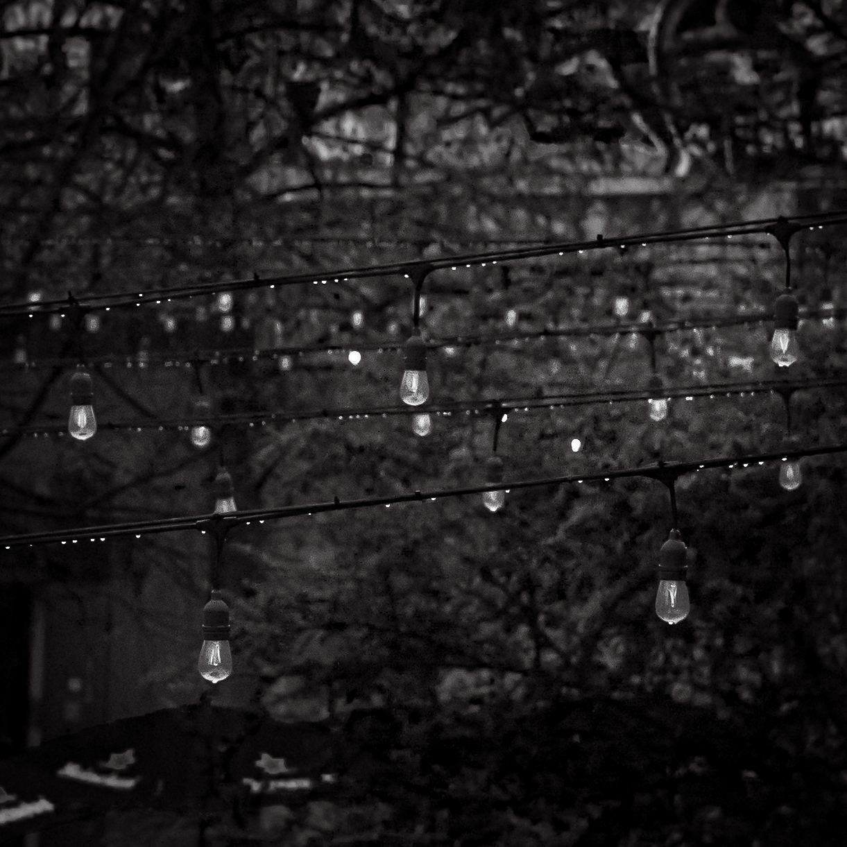 Foco de luces colgantes entre los árboles del patio