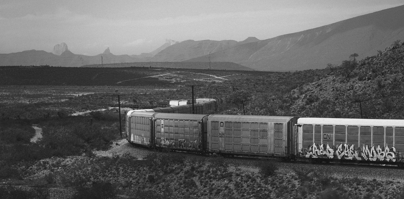 Tren de carga cruzando el paisaje del norte