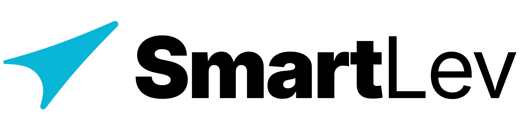 SmartLev