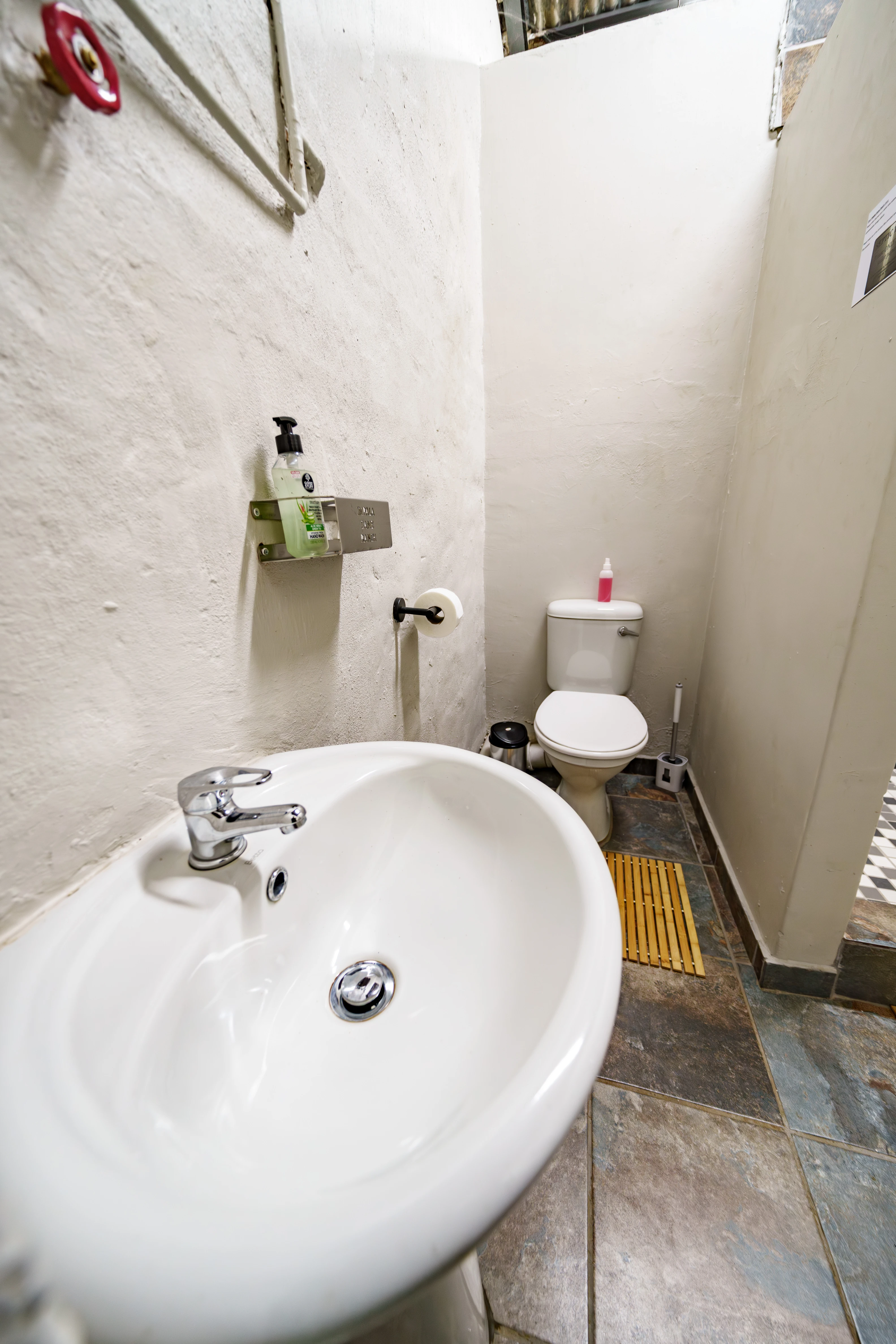 Extra bathroom convenience