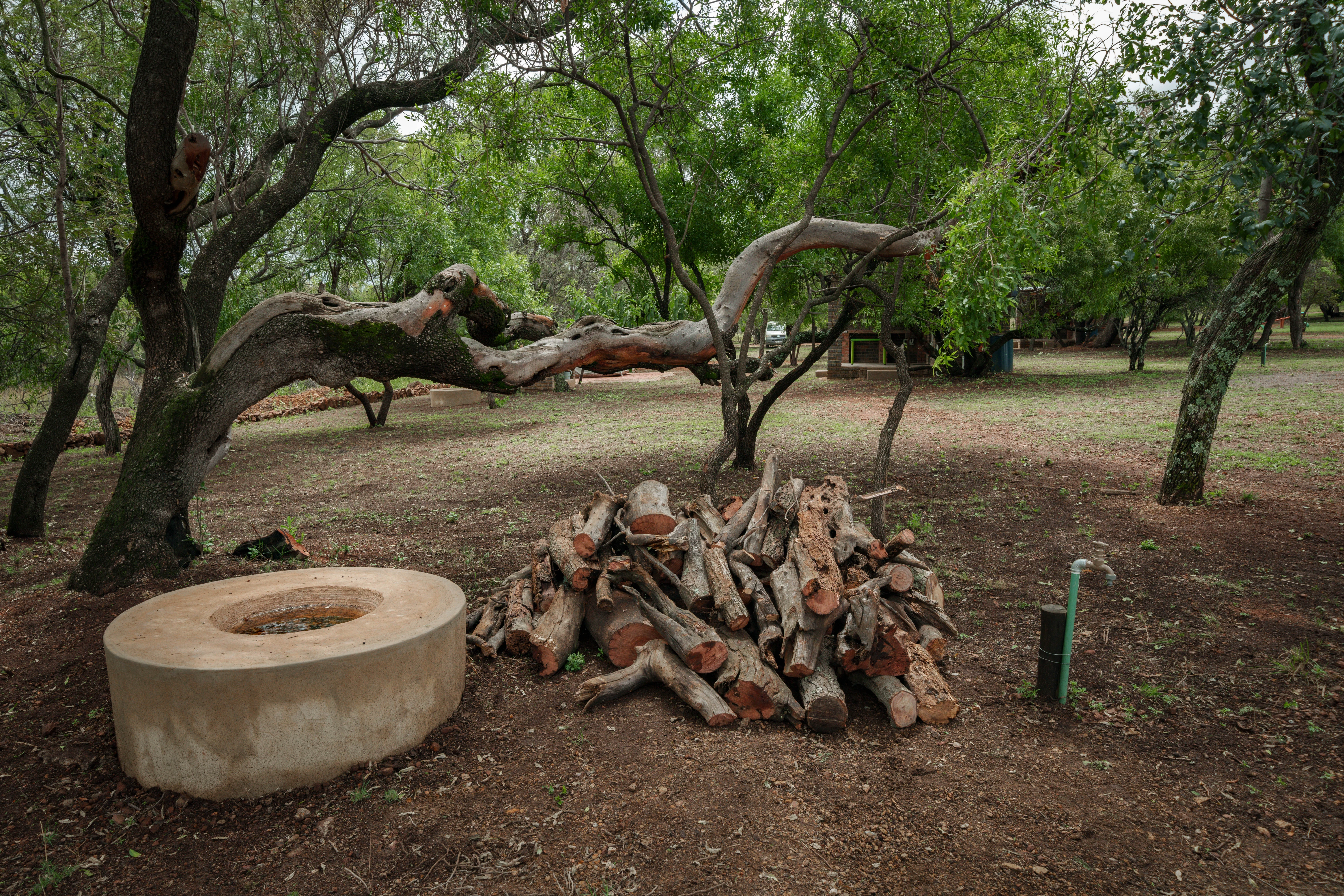 Firewood for evening braai and stargazing at Impala Game Ranch