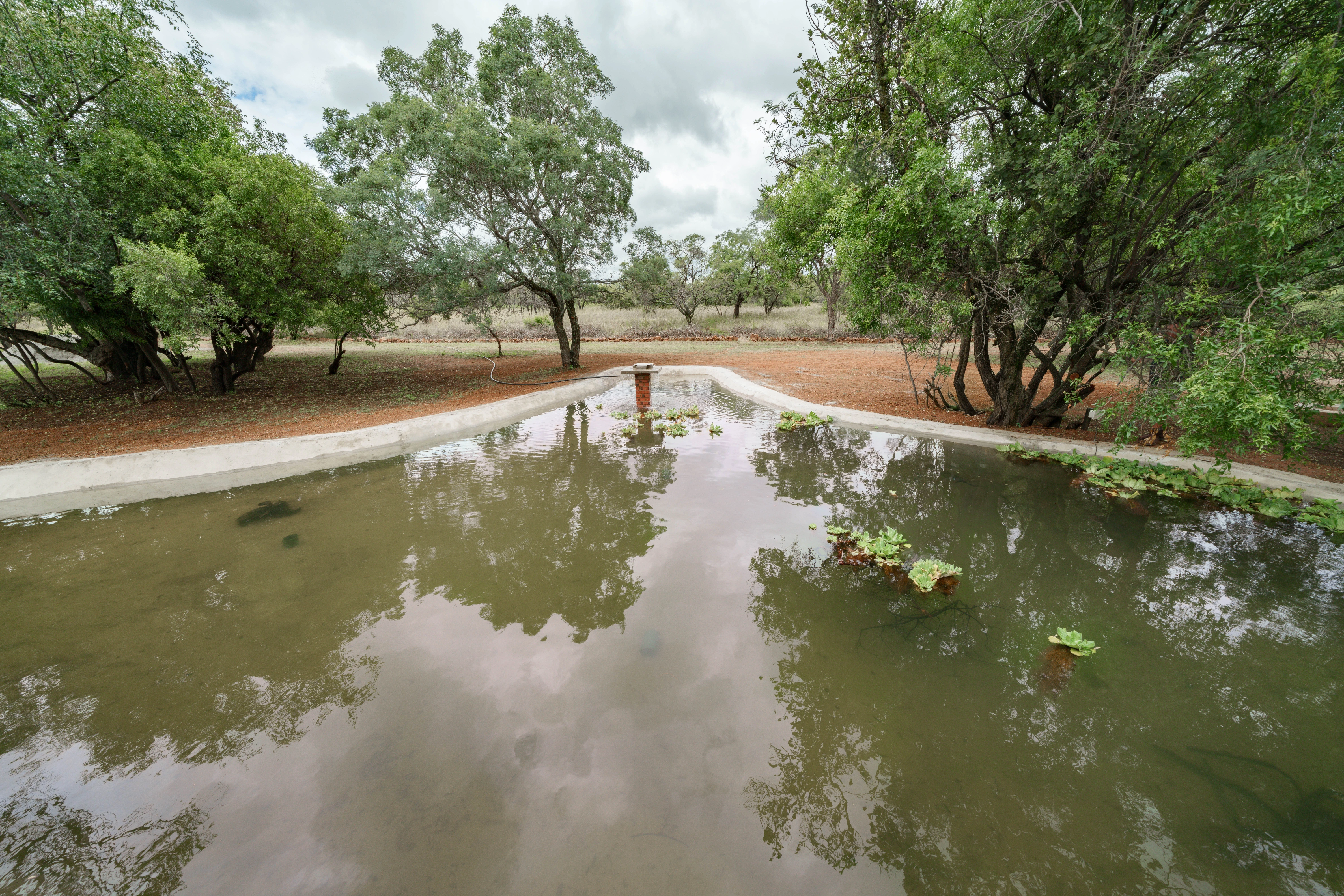 Dinokeng Game Reserve landscape near Impala Game Ranch