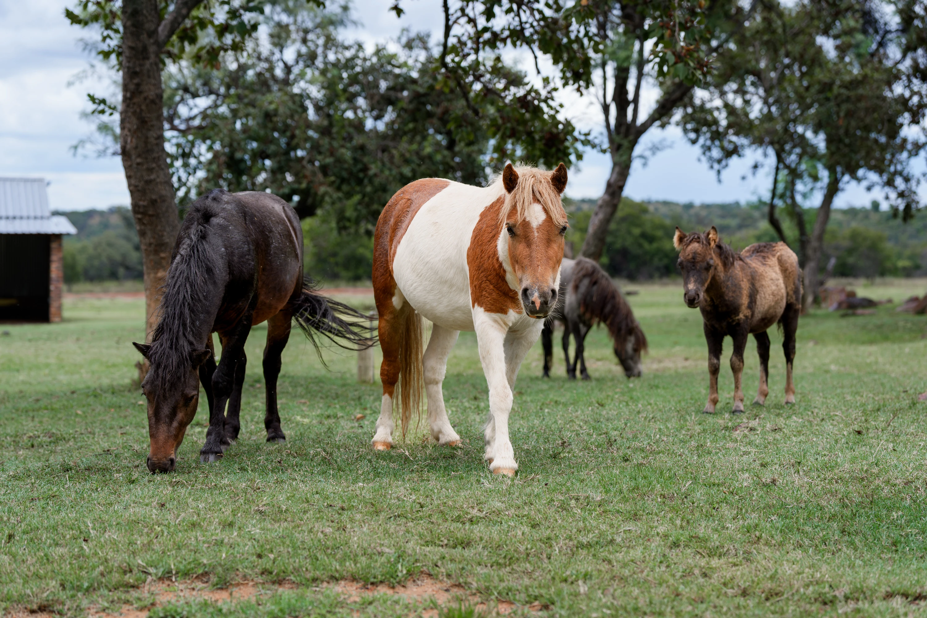 Game on the property