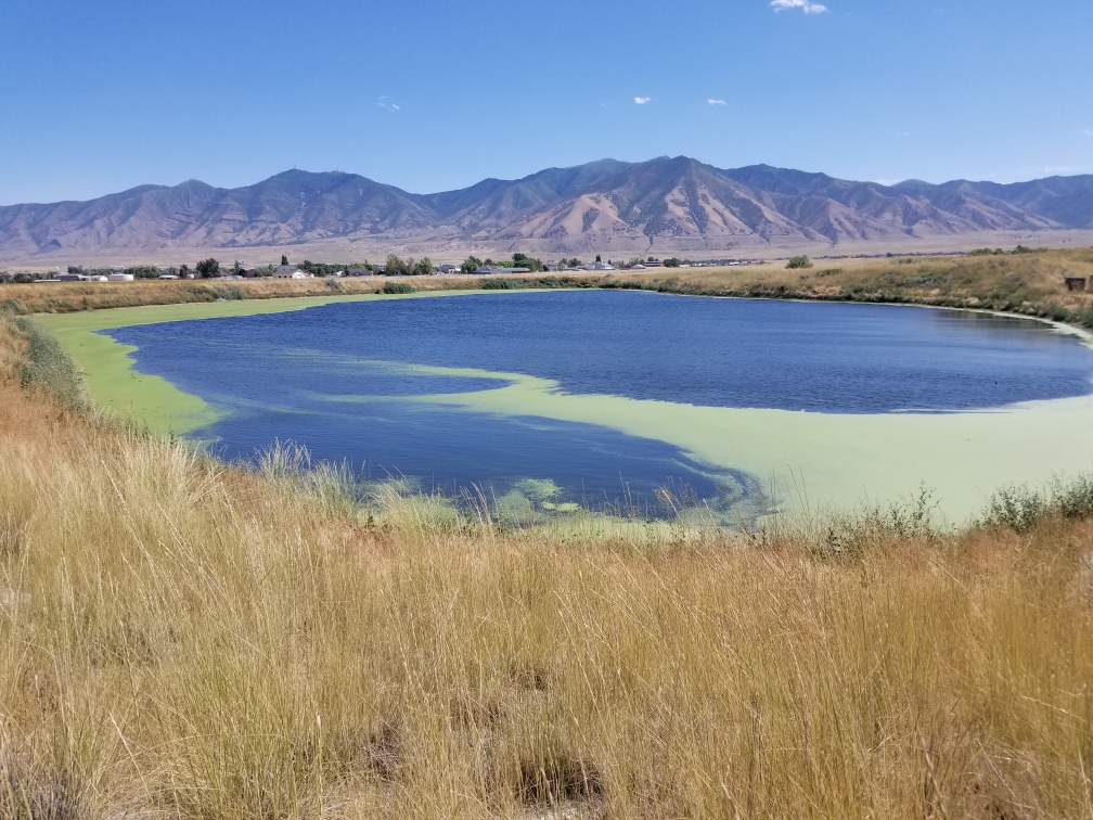 After — clear pond