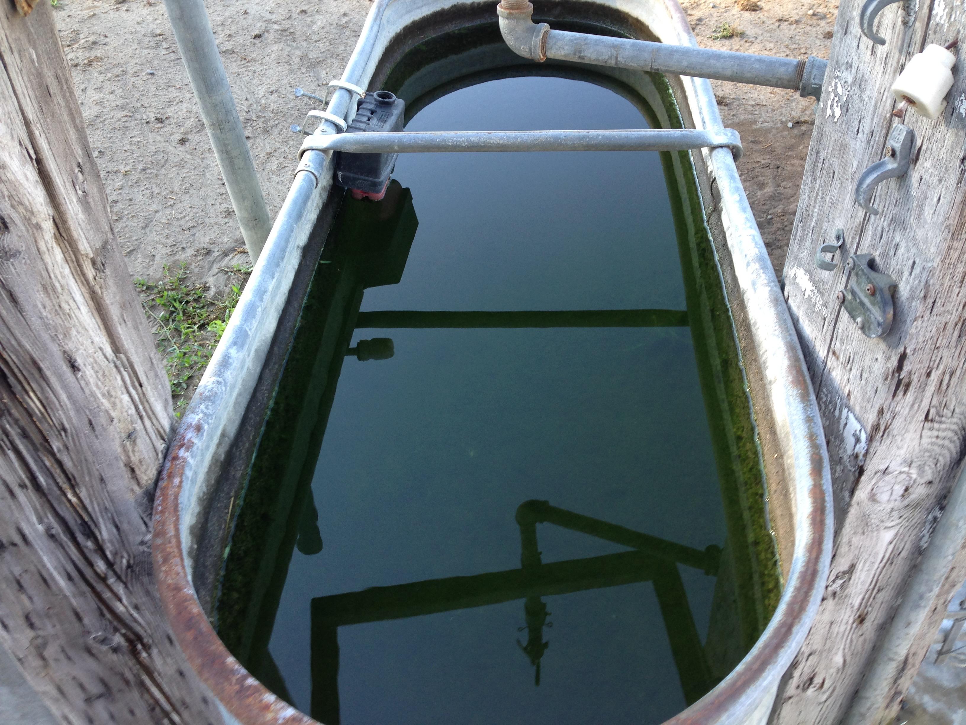 After — clean clear trough