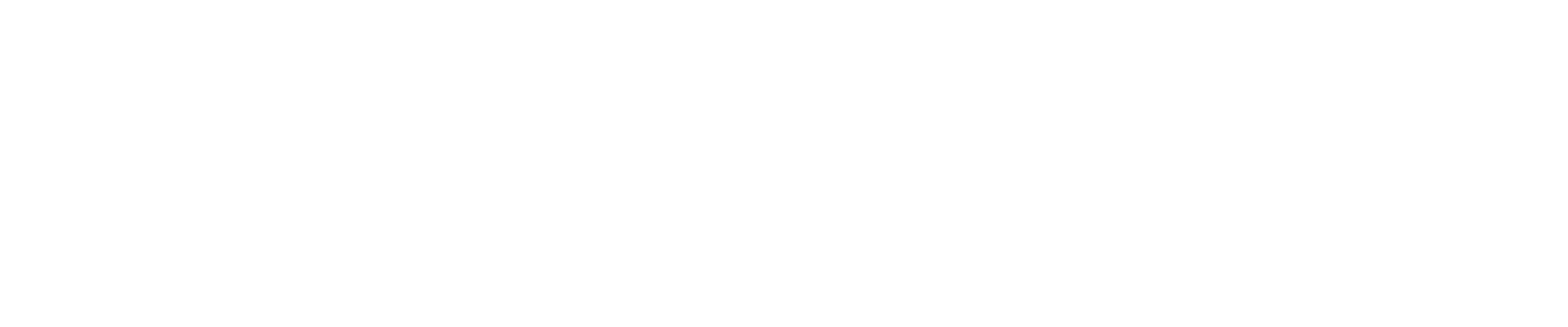 Bluefox Production logo 