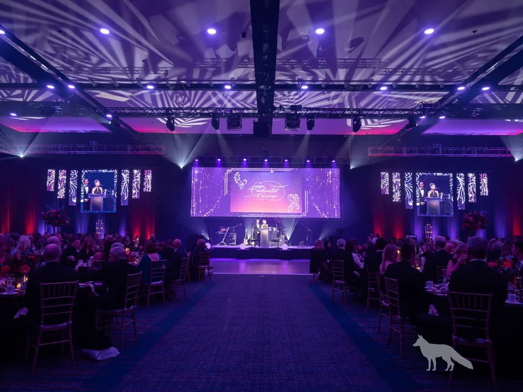 Blue Fox event production photo 17