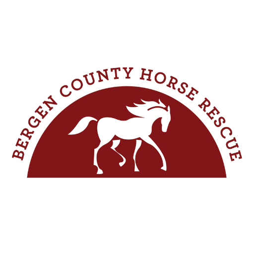 Bergen County Horse Resue