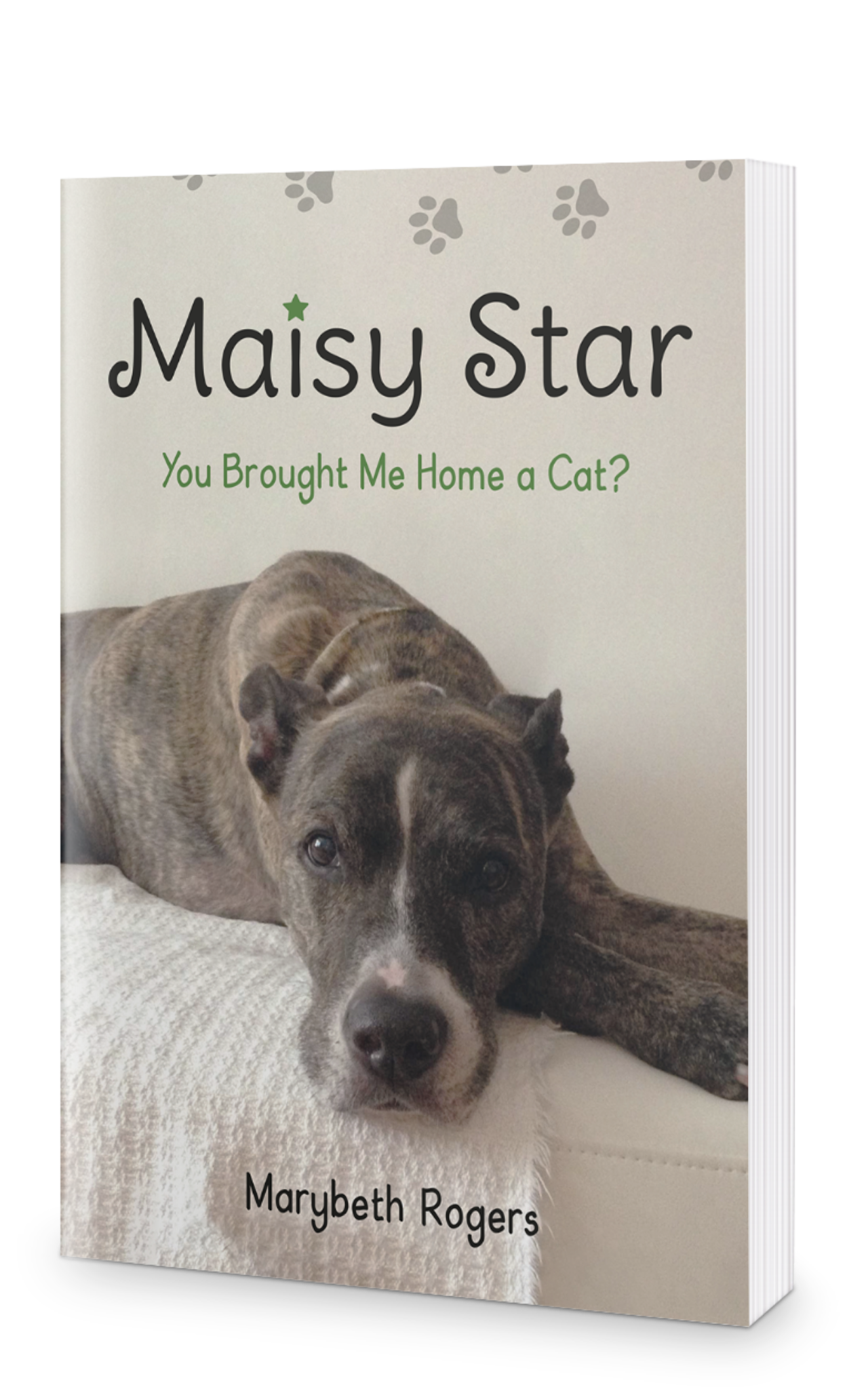 Maisy Star You Brought Me Home a Cat?