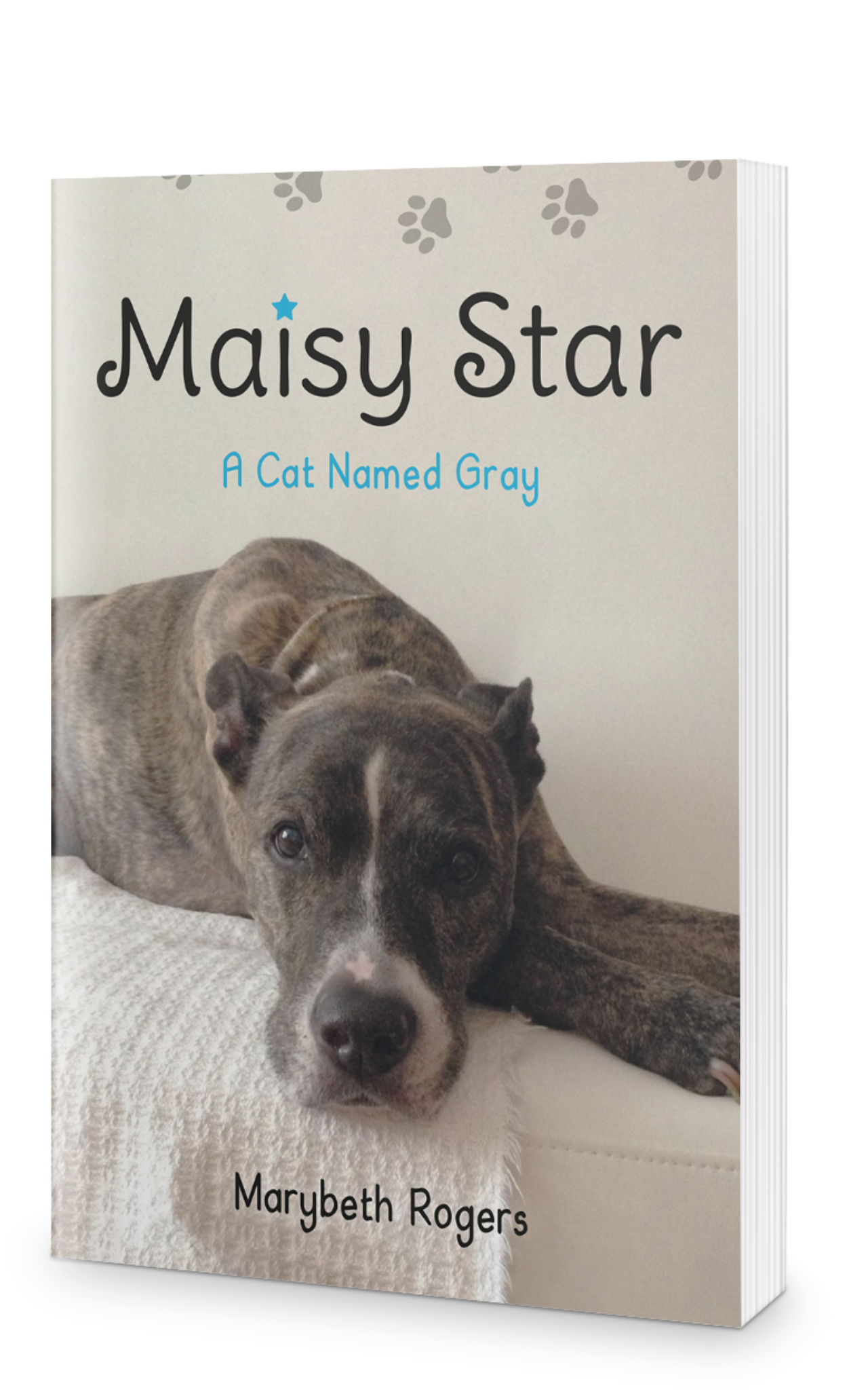 Maisy Star A Cat Named Gray