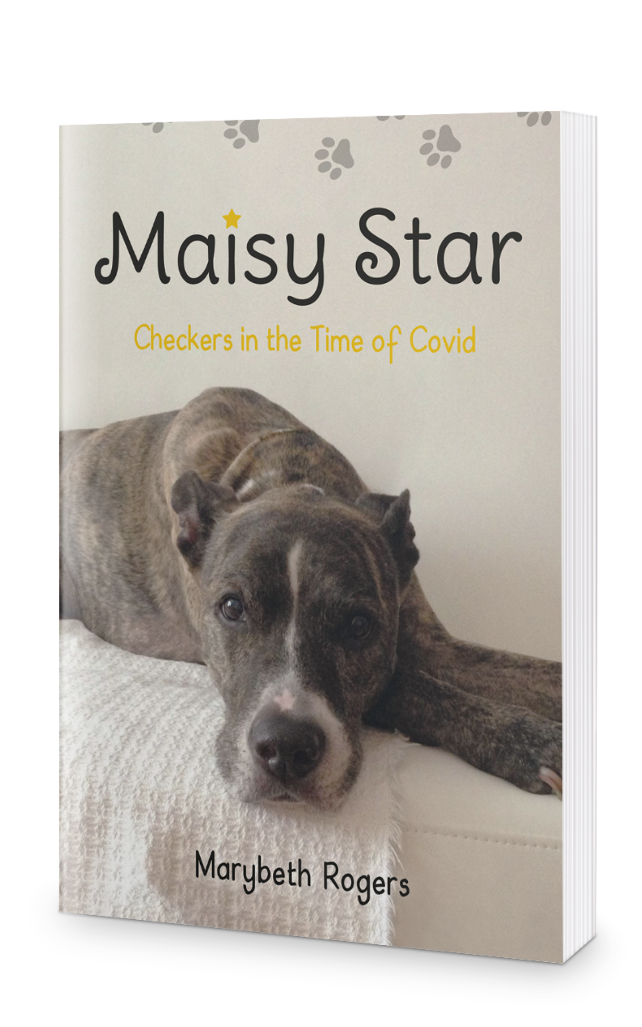 Maisy Star Checkers in the Time of Covid