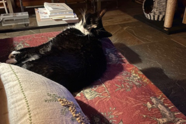 March 15, 2026  Onyx Won't Be Very Happy With Her Mom Going Out Of Town.